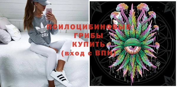 бутират Апатиты